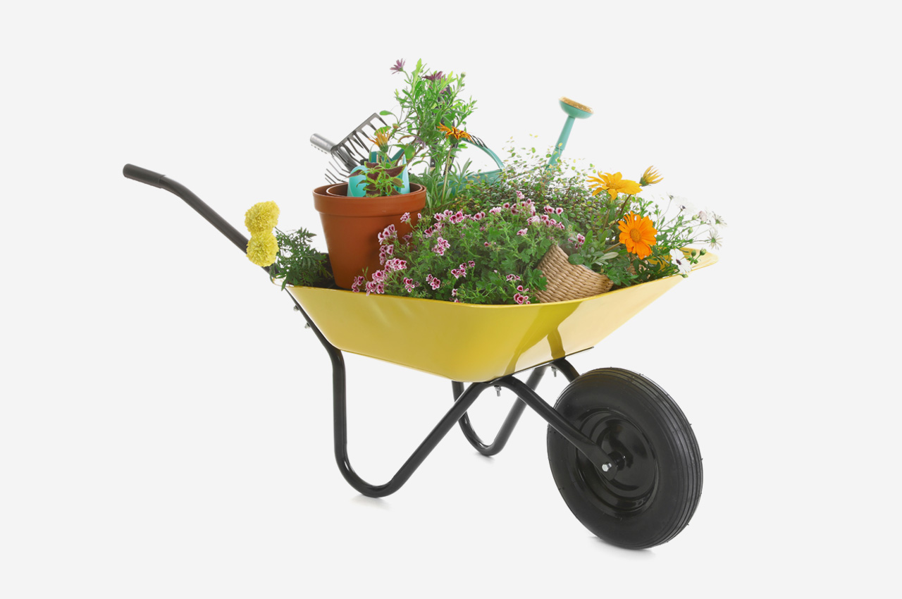 Gelbe Schubkarre, gefüllt mit Blumen, Umtöpfen und Gießkanne, neutraler Hintergrund.